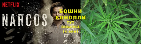 ГАЛЛЮЦИНОГЕННЫЕ ГРИБЫ Верея