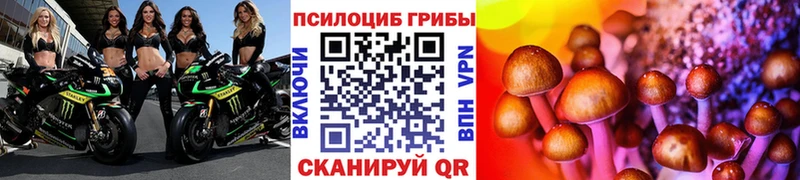 Псилоцибиновые грибы MAGIC MUSHROOMS  где купить наркотик  Дзержинск 